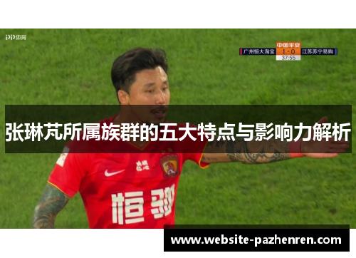 张琳芃所属族群的五大特点与影响力解析