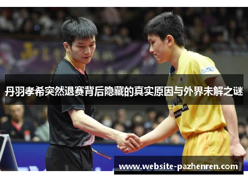 丹羽孝希突然退赛背后隐藏的真实原因与外界未解之谜