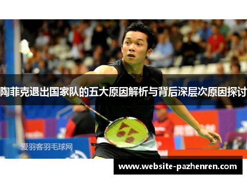 陶菲克退出国家队的五大原因解析与背后深层次原因探讨